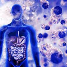 Toxin Elimination