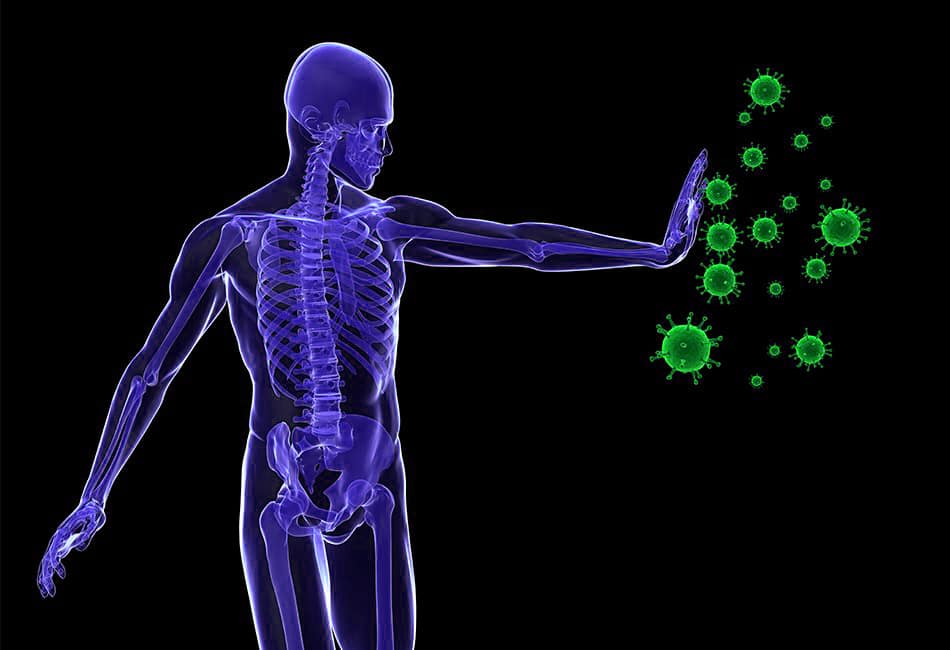 Immune System